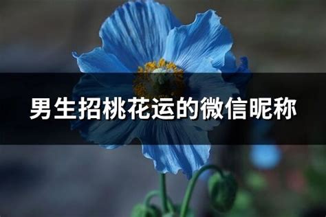 男生招桃花|男生必學！5個超簡單招桃花秘訣 